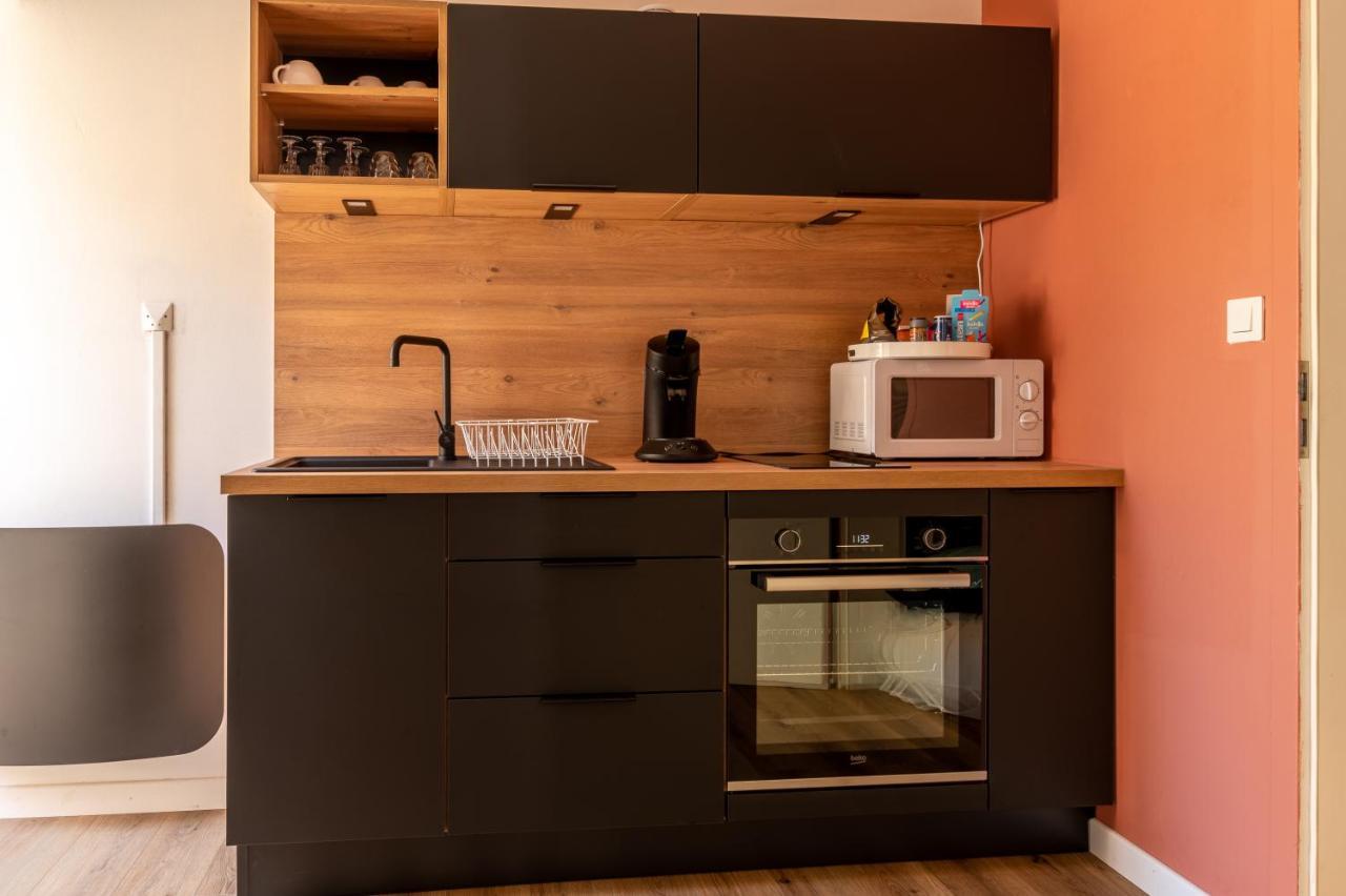 Appartement Cosy avec Jardin au Centre Historique de Sélestat&Proche Europa-Park Esterno foto