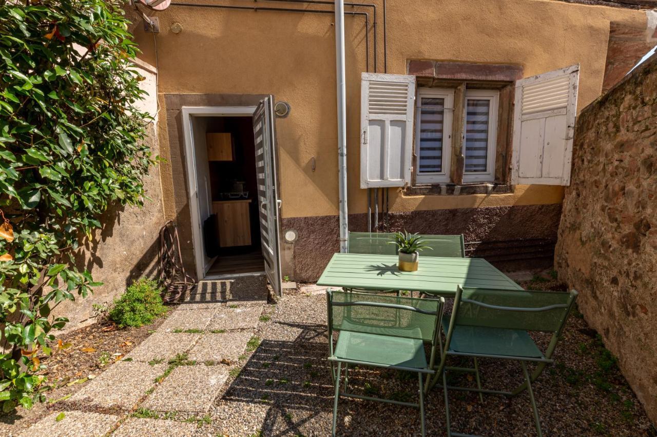 Appartement Cosy avec Jardin au Centre Historique de Sélestat&Proche Europa-Park Esterno foto